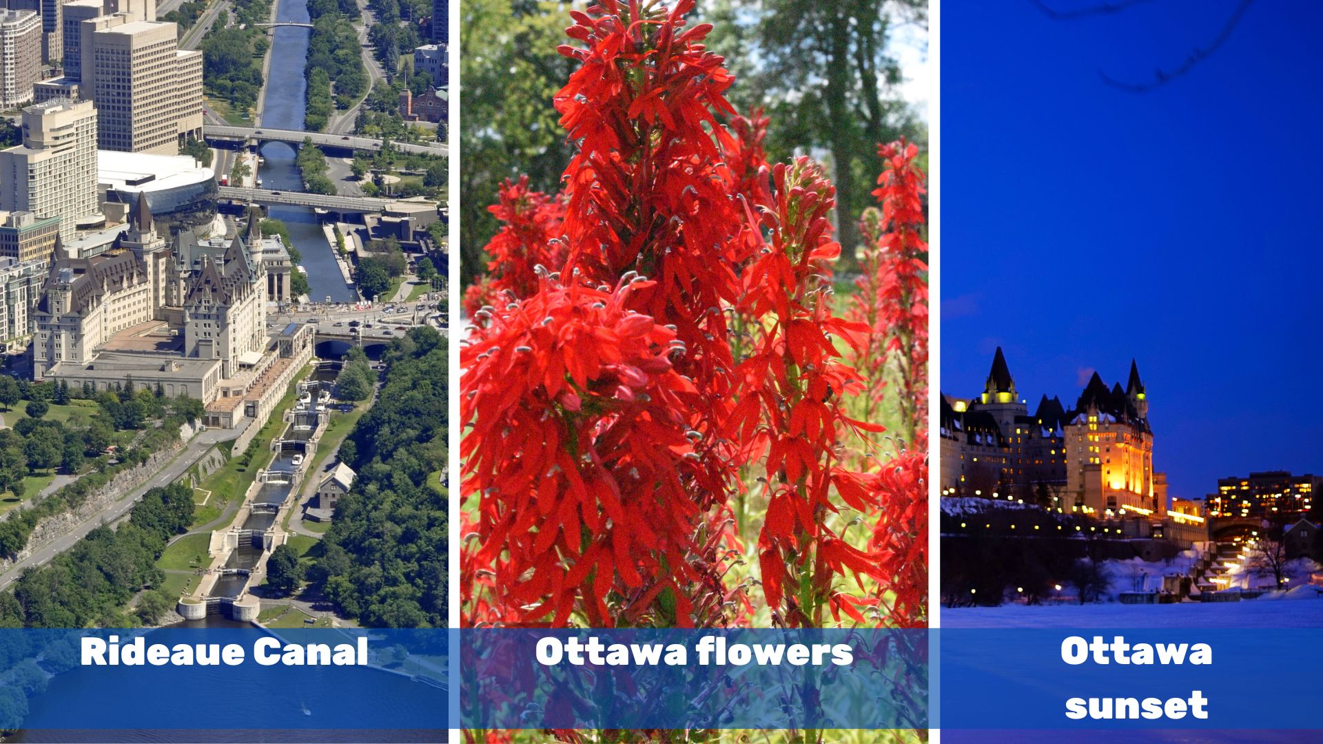 Become A Canadian ottawa sights